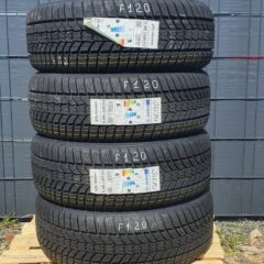 4x NEU Winterreifen Sava Eskimo hp2 Winter 215/55 R 17 98V (MIL) DOT21 F120